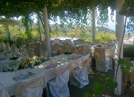 Vjenčanje u bašti